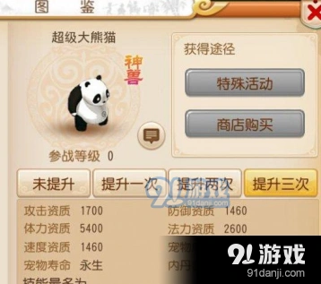 梦幻西游手游超级大熊猫加点和打书详细教程