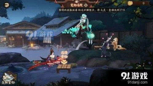 阴阳师猫狗宠物攻略 粮食获取途径大全