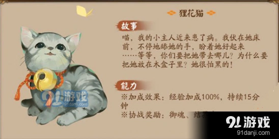 阴阳师狸花猫怎么领养 新手教程