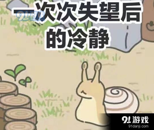 旅行青蛙不回家怎么回事 老玩家分享经验