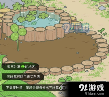 旅行青蛙三叶草成熟时间全解