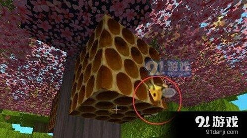 迷你世界蜜蜂获取与繁殖攻略