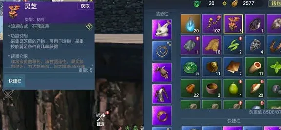 妄想山海灵芝有什么用 紫色品质材料使用技巧