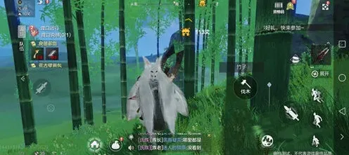 妄想山海竹子分布全指南