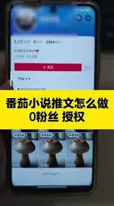 番茄小说作者投稿指南