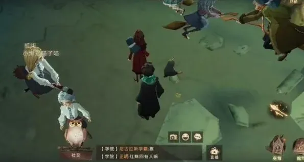 哈利波特魔法觉醒处置危险生物委员会攻略详解