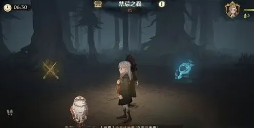 哈利波特魔药事故手记笔记收集流程