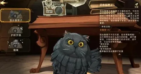 哈利波特混血猫狸子怎么得到详解