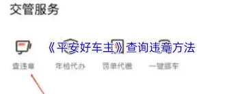 平安好车主驾驶行为评分查询技巧分享