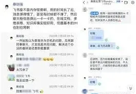 飞书视频播放卡顿怎么办指南