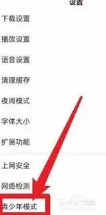 百度视频青少年模式开启方法