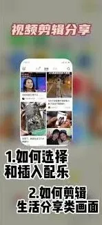 小红书视频音乐获取技巧