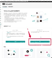 TikTok官方账号入口在哪