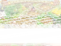 微信农场