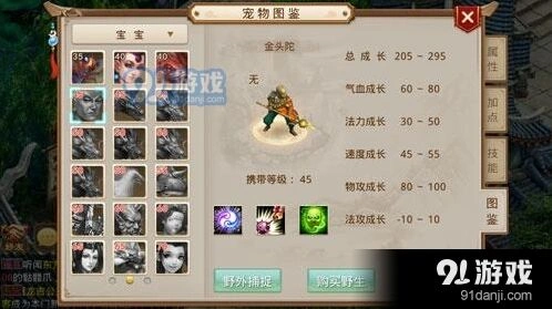 问道手游宠物快速升级指南