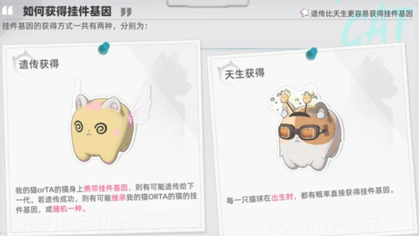 猫之城基因挂件怎么解锁教程