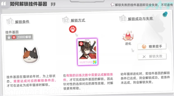 猫之城之城