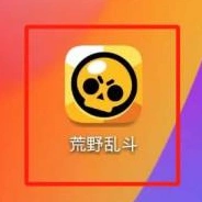 荒野乱斗观战技巧完整攻略