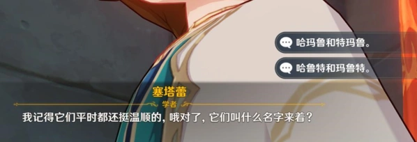 原神两只猫名字正确答案一览