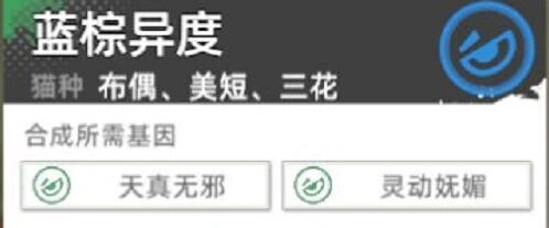猫之城之城