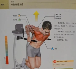 双杠