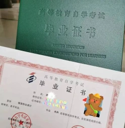 网上报名