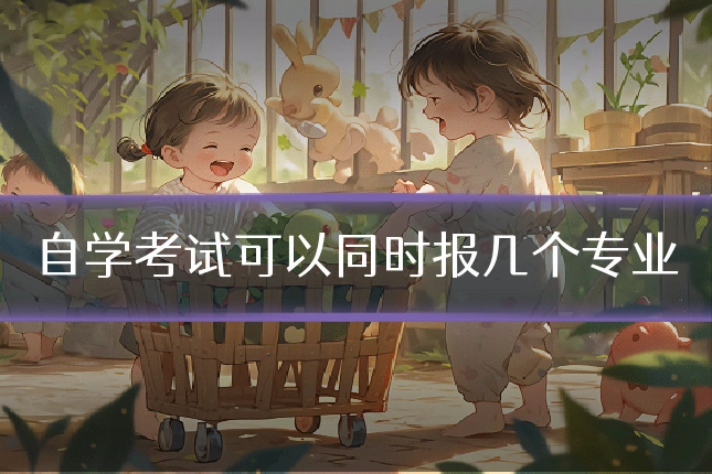 自学考试可以同时报几个专业