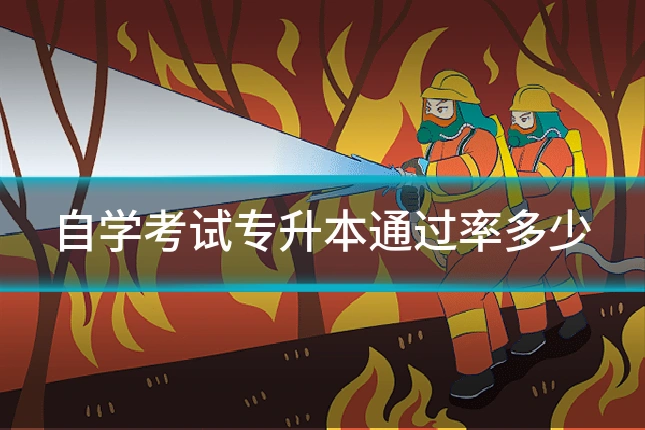 自学考试专升本通过率多少