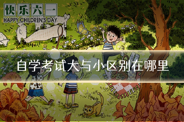自学考试大与小区别在哪里