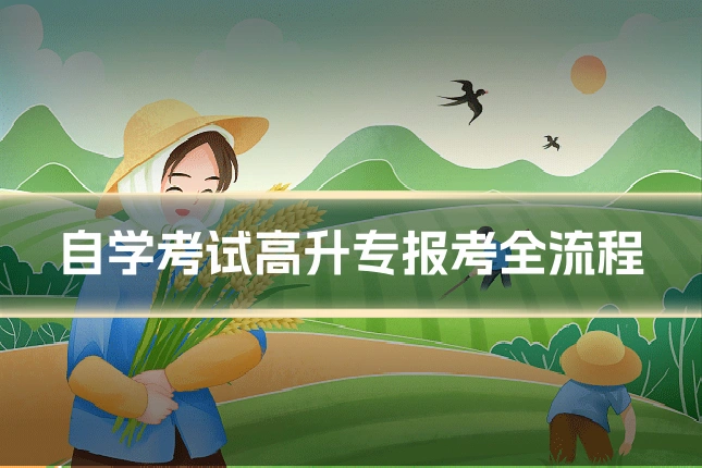 自学考试高升专报考全流程