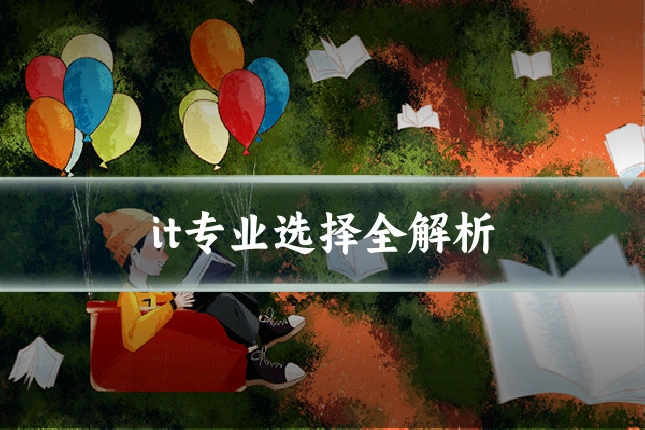 it专业选择全解析