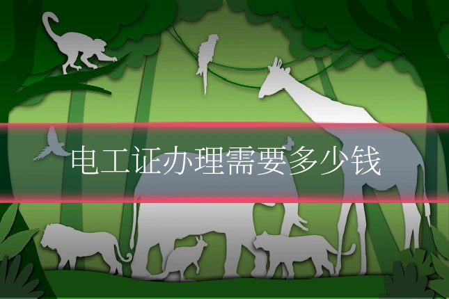 电工证办理需要多少钱