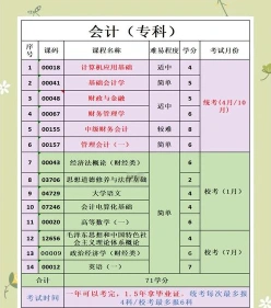 会计电算化