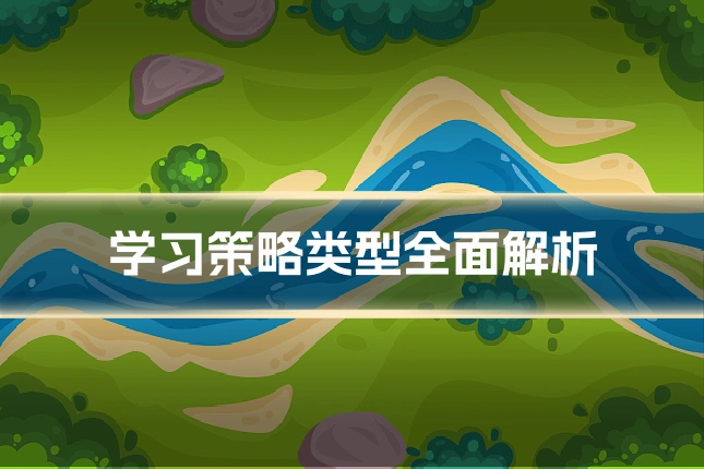 学习策略类型全面解析