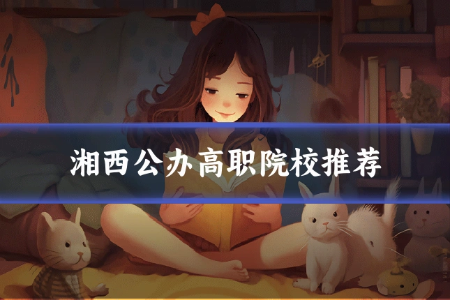 湘西公办高职院校推荐