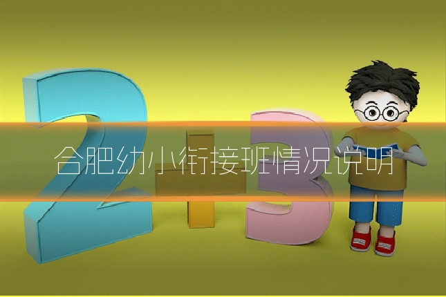 合肥幼小衔接班情况说明