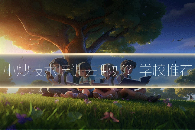 小炒技术培训去哪好？学校推荐
