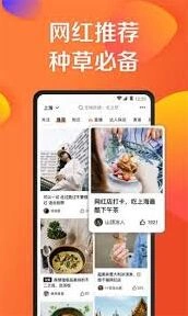 大众点评电子发票申请技巧指南