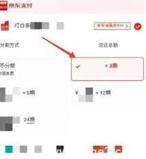 京东分期付款新手教程