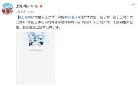 哔哩哔哩服务器崩溃问题探讨