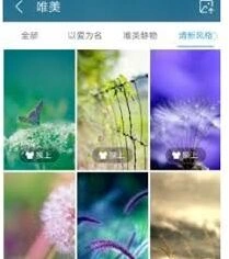 UC浏览器更换皮肤技巧指南