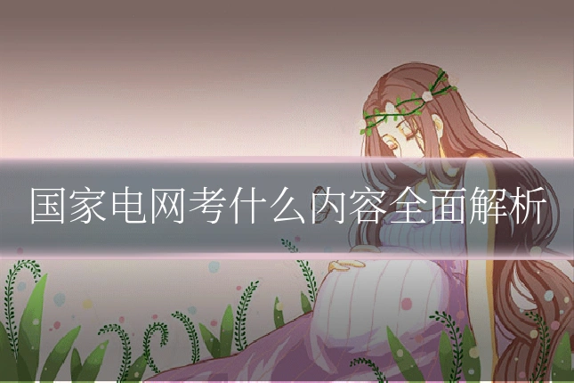 国家电网考什么内容全面解析