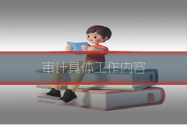 审计具体工作内容