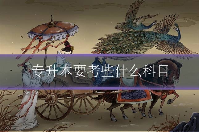 专升本要考些什么科目