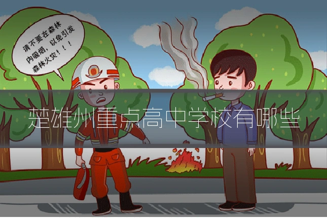 楚雄州重点高中学校有哪些