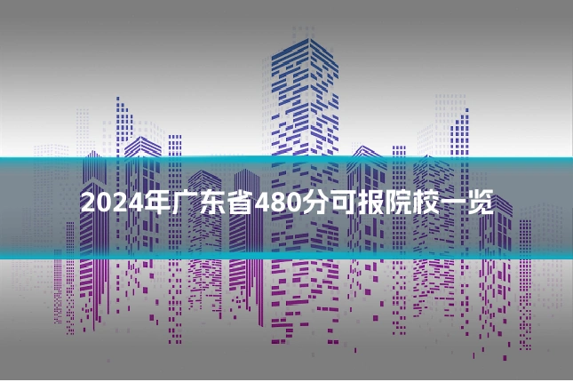 2024年广东省480分可报院校一览