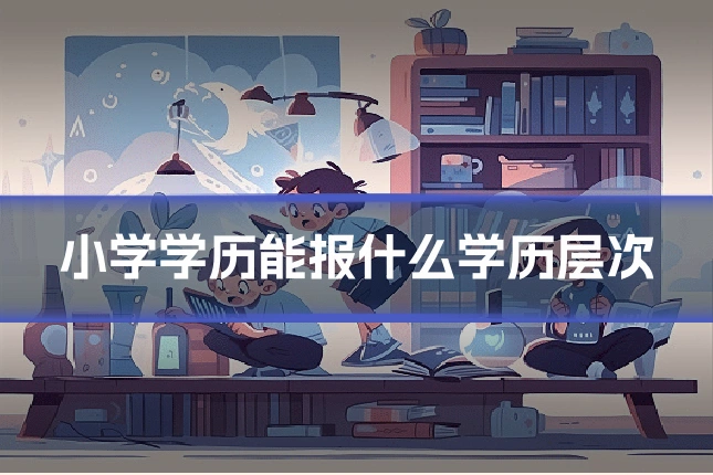 小学学历能报什么学历层次