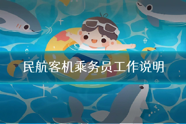 民航客机乘务员工作说明