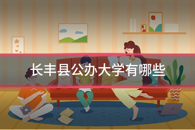长丰县公办大学有哪些