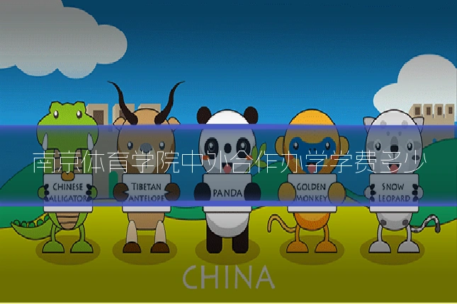 南京体育学院中外合作办学学费多少